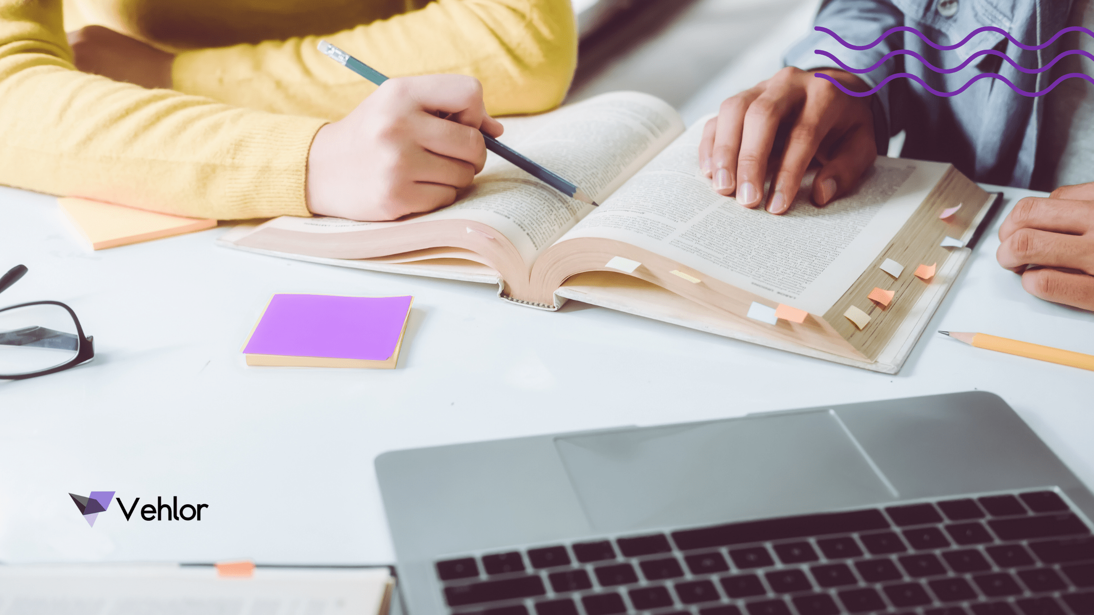 Top 5 Cursos mais procurados para estágio na Vehlor